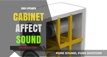 How Speaker Cabinets Influence Sound Quality and Performance
