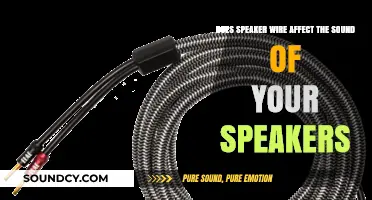 Does Speaker Wire Impact Your Speakers' Sound Quality?