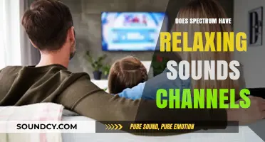 Spectrum's Relaxing Sounds Channels: A Soothing Experience