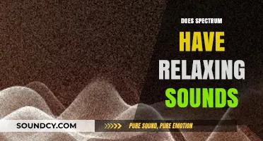 Spectrum's Soothing Sounds: Relaxing Audio Options for Calm and Focus