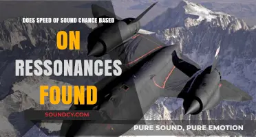 How Resonances Influence the Speed of Sound: Exploring Acoustic Dynamics