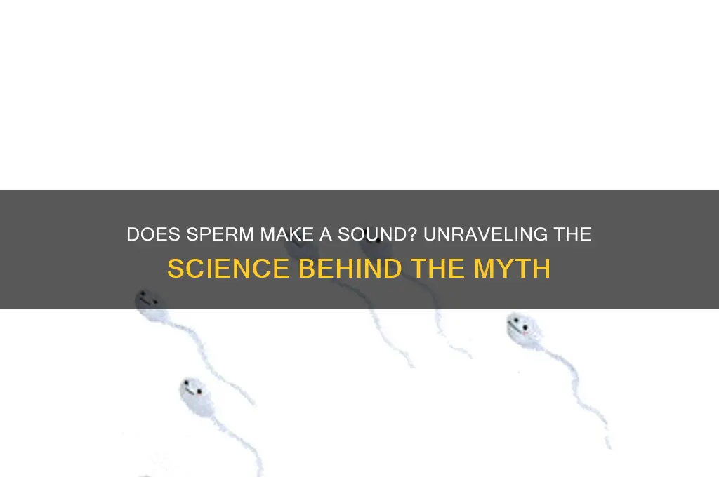 does sperm make a sound