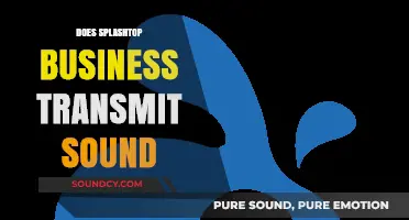 Does Splashtop Business Transmit Audio? A Comprehensive Guide for Users