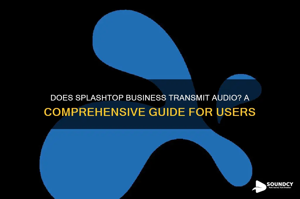 does splashtop business transmit sound