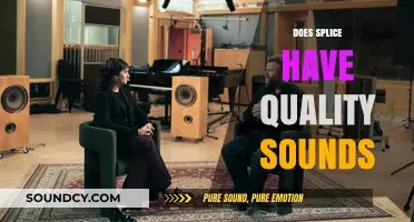 Does Splice Offer High-Quality Sounds for Music Producers?