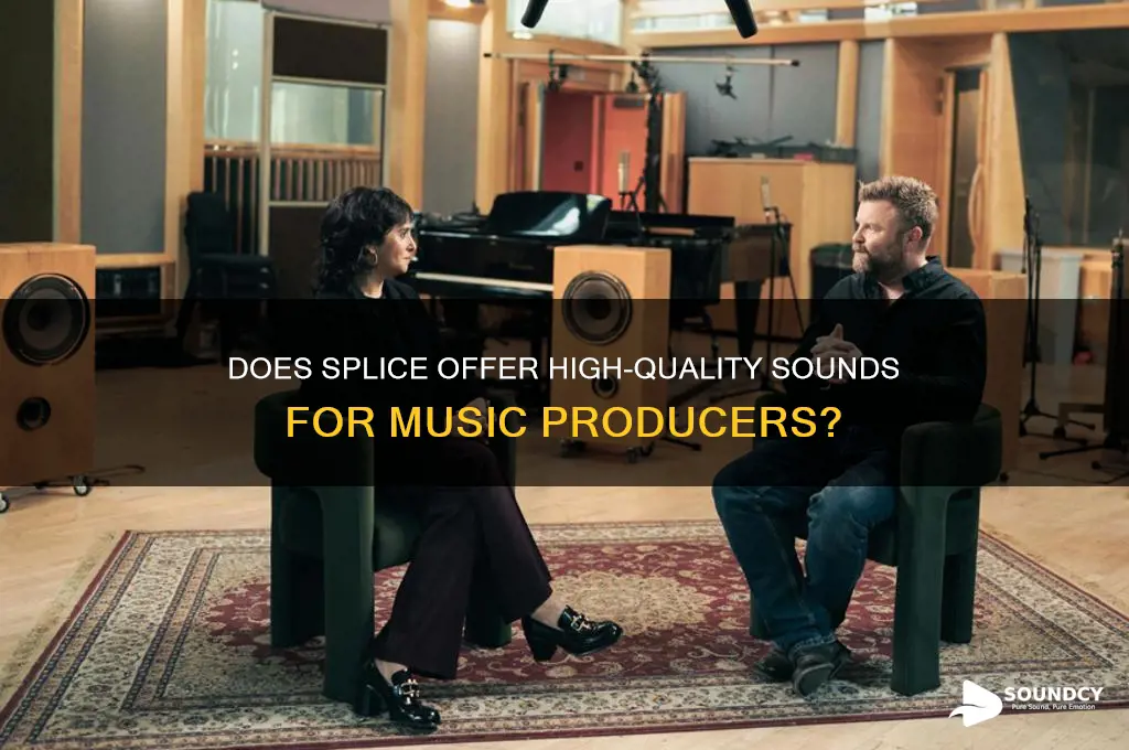 does splice have quality sounds