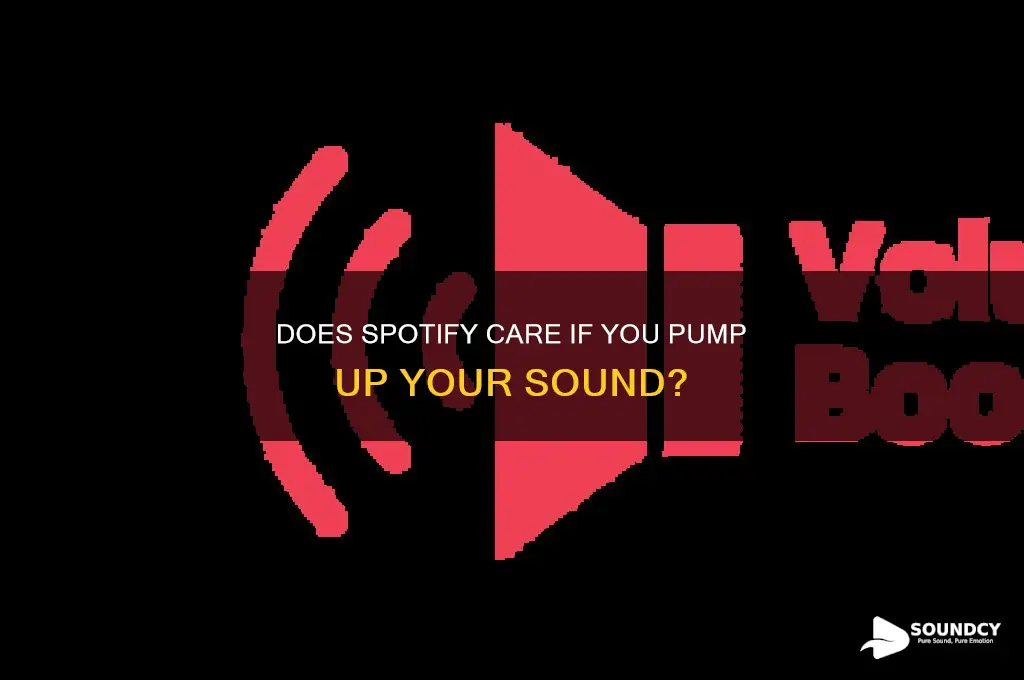 does spotify care if you pump up your sound