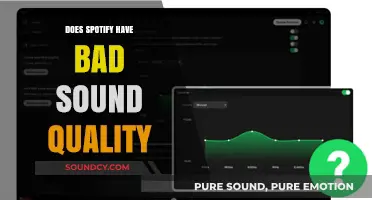 Spotify's Sound Quality: Is It Really That Bad?