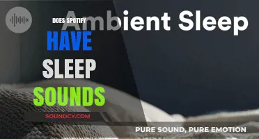 Spotify Sleep Sounds: Exploring Relaxing Audio Options for Better Rest