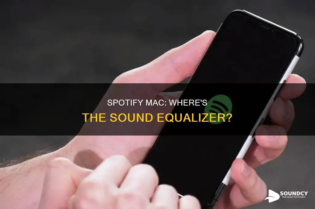 does spotify mac have sound equalizer