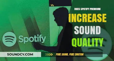 Spotify Premium: Enhanced Audio Experience