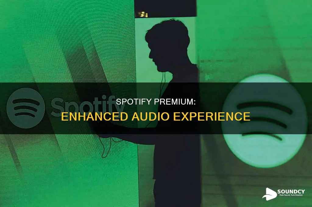 does spotify premium increase sound quality