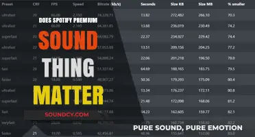 Spotify Premium: Does Audio Quality Really Matter?