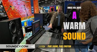 SSL: Warm Sound or Cold Truth?