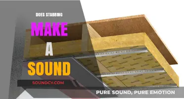 Does Stabbing Make a Sound? Exploring the Acoustic Reality of Violence