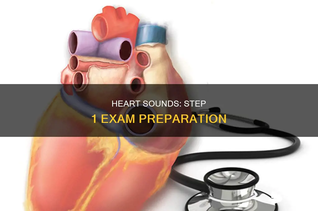 does step 1 have heart sounds