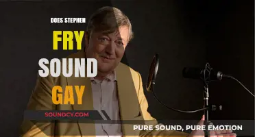 Does Stephen Fry Sound Gay? Exploring Voice, Identity, and Perception