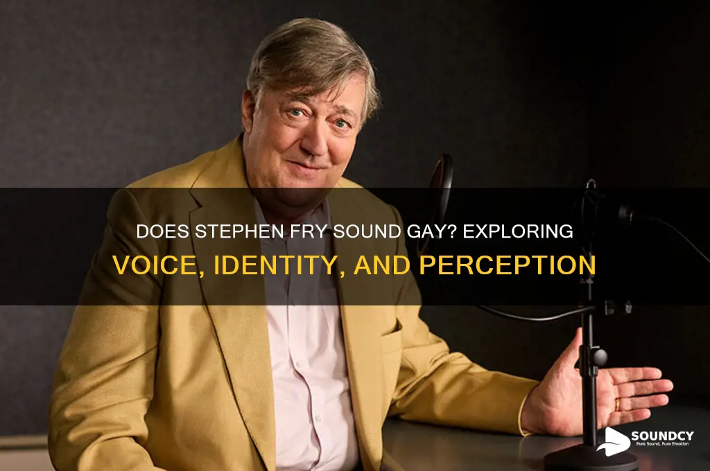 does stephen fry sound gay
