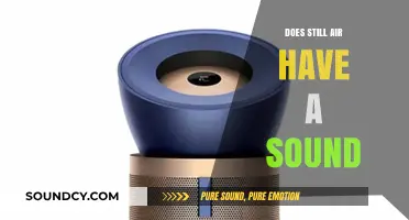 The Sound of Silence: Does Still Air Make a Sound?