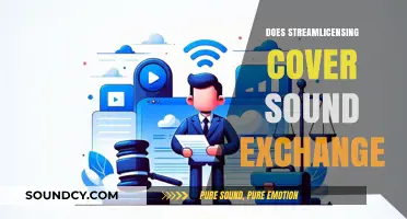 Does StreamLicensing Include SoundExchange Coverage? Key Insights Explained