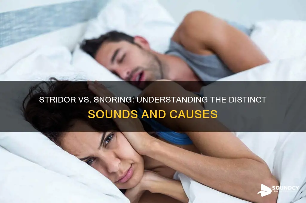 does stridor sound like snoring