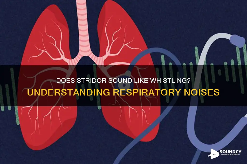 does stridor sound like whistling