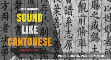 Does Taiwanese Sound Like Cantonese? Exploring Language Similarities and Differences