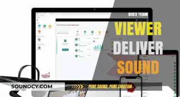 Does TeamViewer Transmit Audio? A Comprehensive Sound Delivery Guide