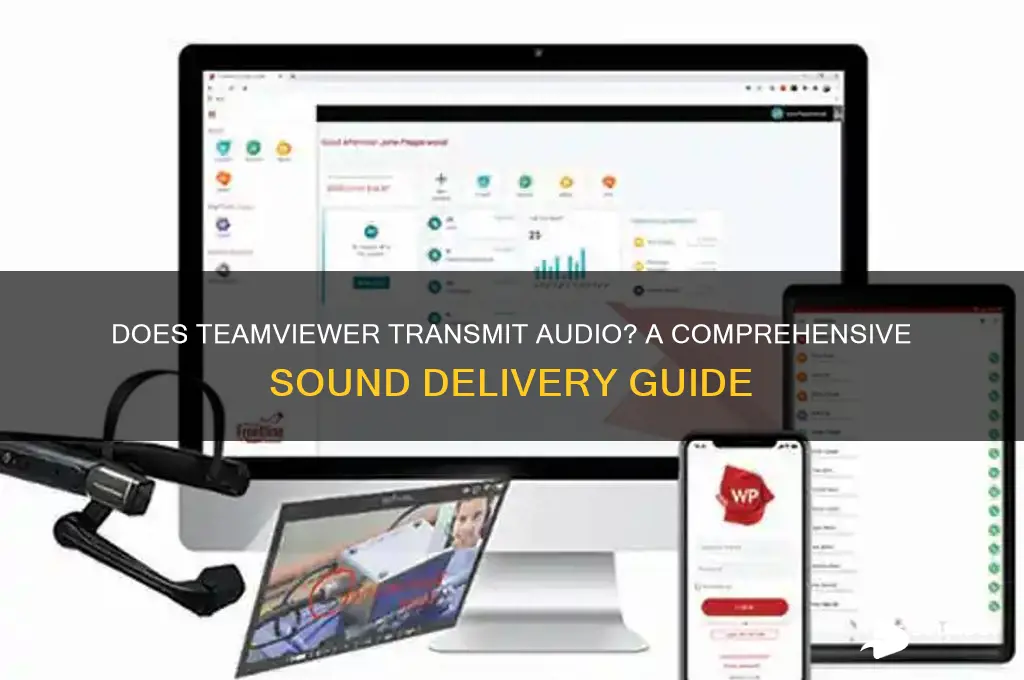 does team viewer deliver sound