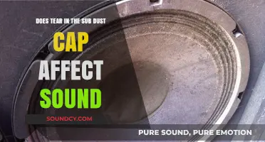 Does a Torn Subwoofer Dust Cap Impact Sound Quality?