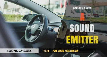 Sound Emitters: Are Teslas Quiet or Noisy?