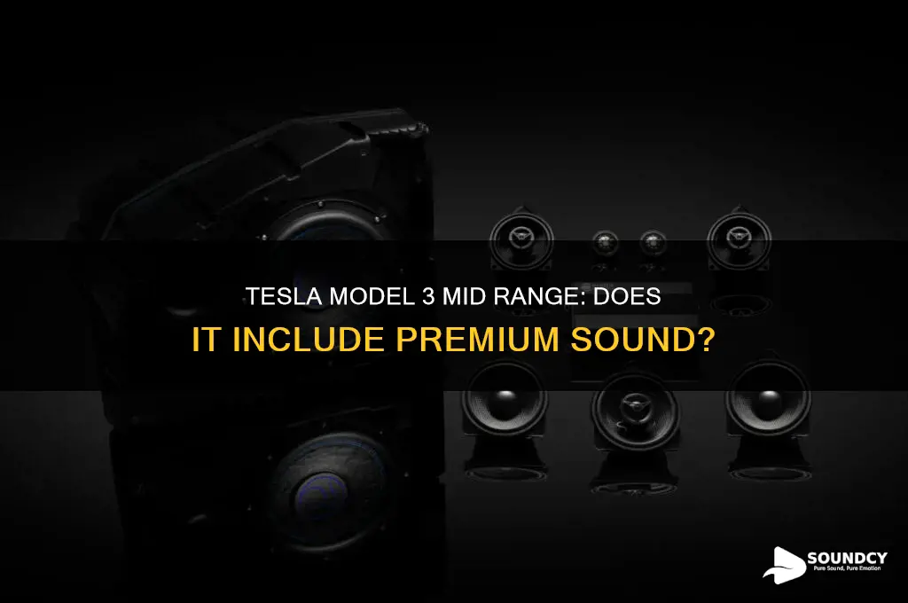does tesla mid range model 3 have premium sound