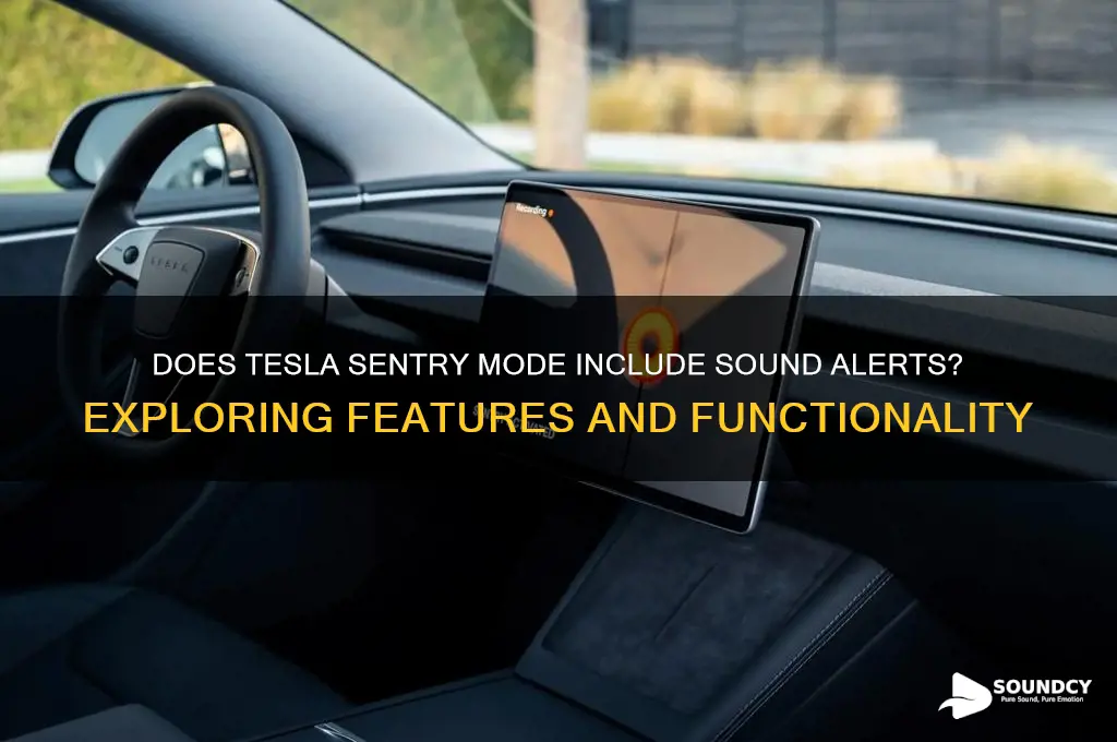 does tesla sentry have sound