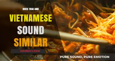 How Distinct Are Thai and Vietnamese Languages?