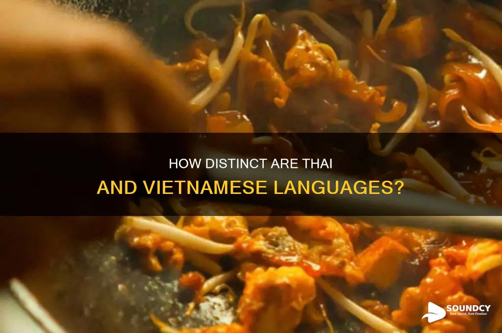 does thai and vietnamese sound similar