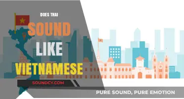 Does Thai Sound Like Vietnamese? Exploring the Similarities and Differences