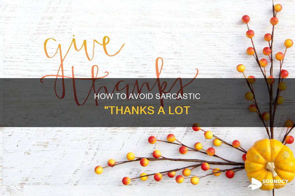 does thanks a lot sound sarcastic