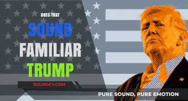 Does That Sound Familiar? Analyzing Trump's Rhetoric and Recurring Themes
