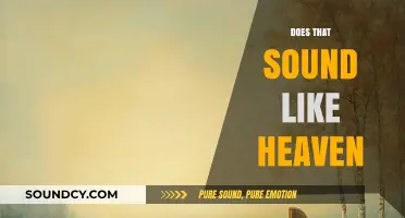 Does That Sound Like Heaven? Exploring Eternal Bliss and Divine Peace