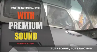 2025 Tesla Model 3: Premium Sound System Included or Optional?