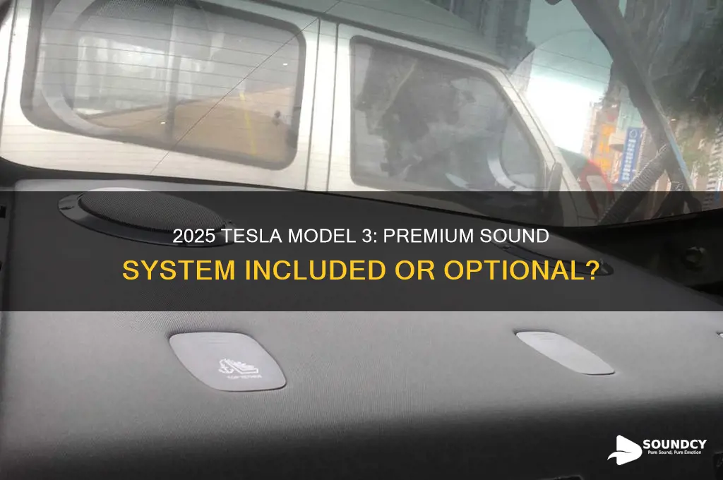 does the 2025 model 3 come with premium sound