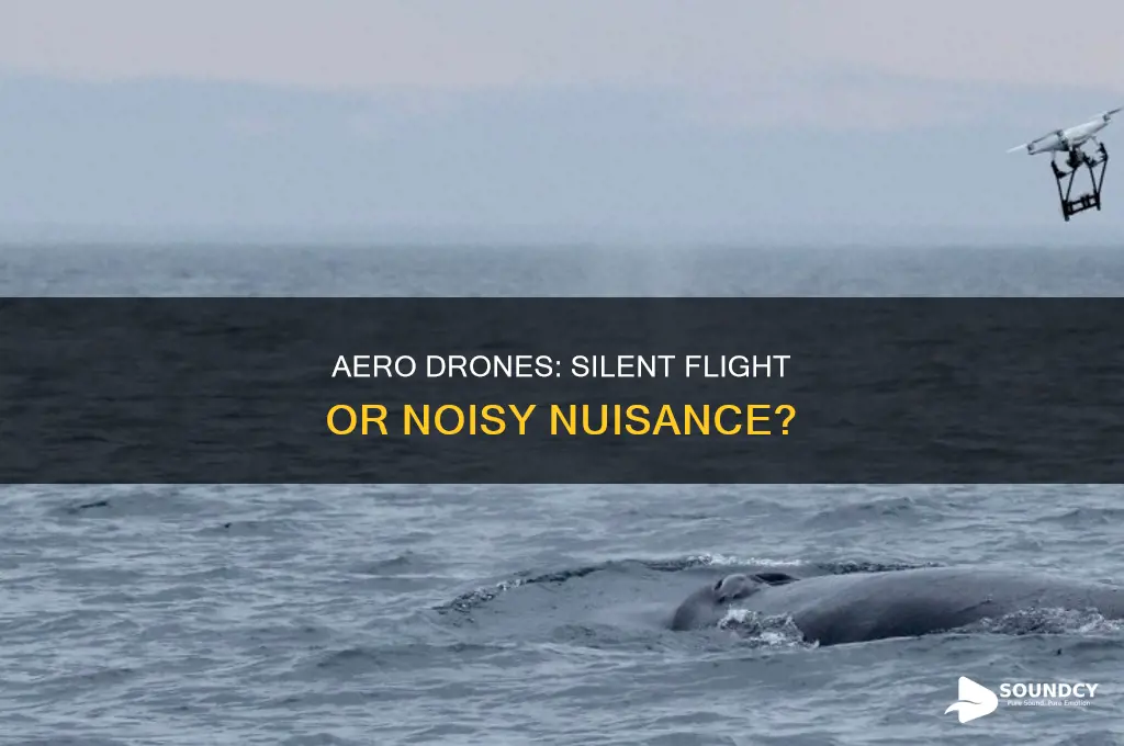 does the aero drone have sound