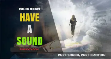 Exploring the Sounds of the Afterlife: A Spiritual Journey