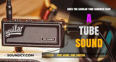 Aguilar Tone Hammer: Does It Deliver Authentic Tube-Like Sound?