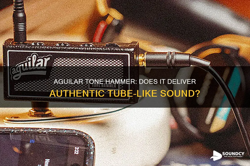 does the aguilar tone hammer have a tube sound