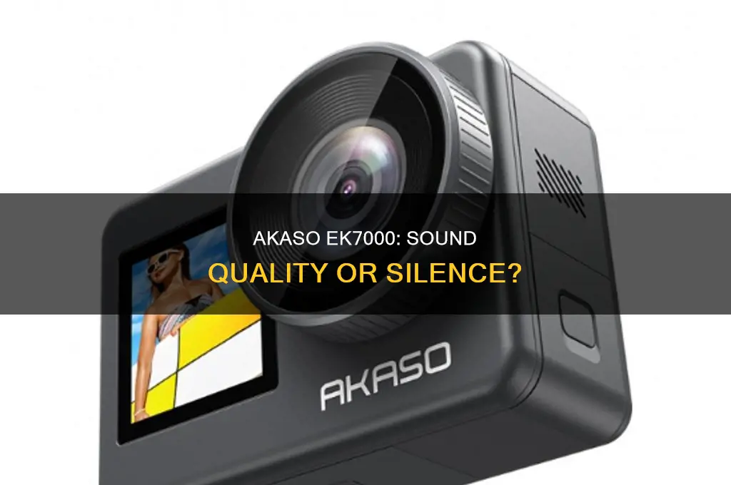 does the akaso ek7000 have sound