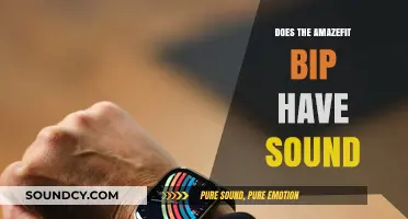 Amazfit Bip: Sound or Silence?