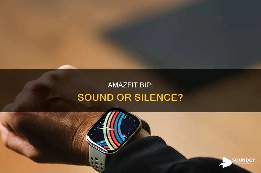 does the amazefit bip have sound