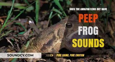 Amazon Echo Dot: Does It Include Peep Frog Sounds?