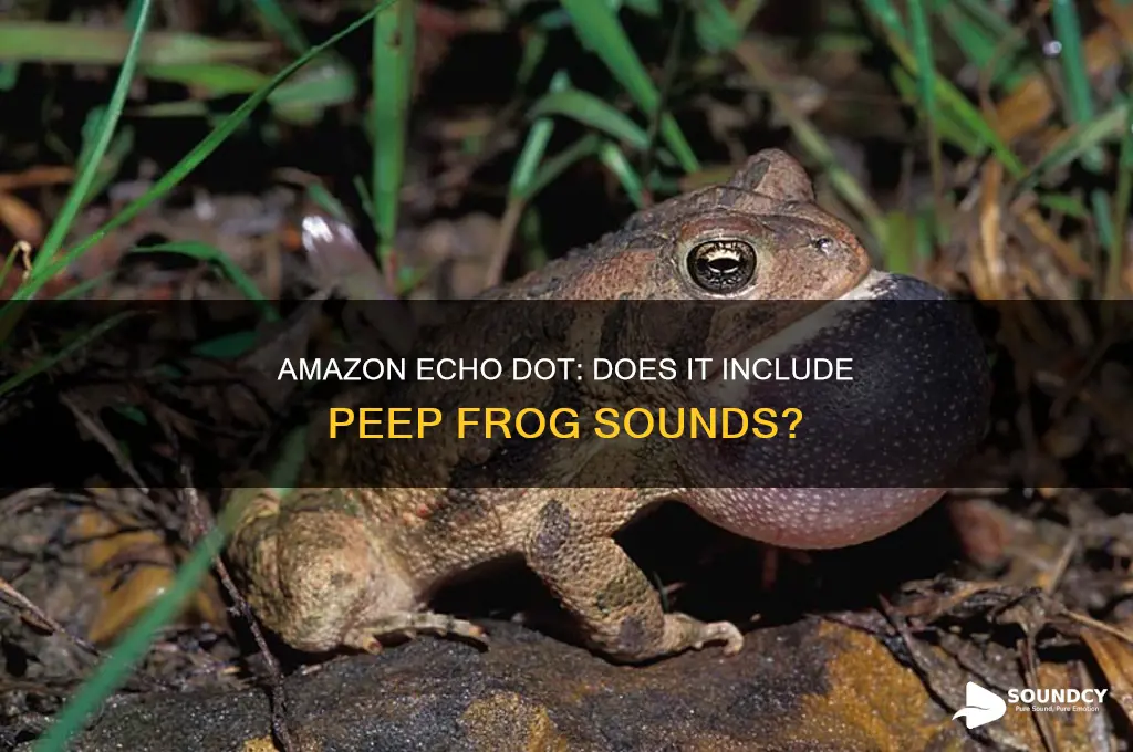 does the amazon echo dot have peep frog sounds